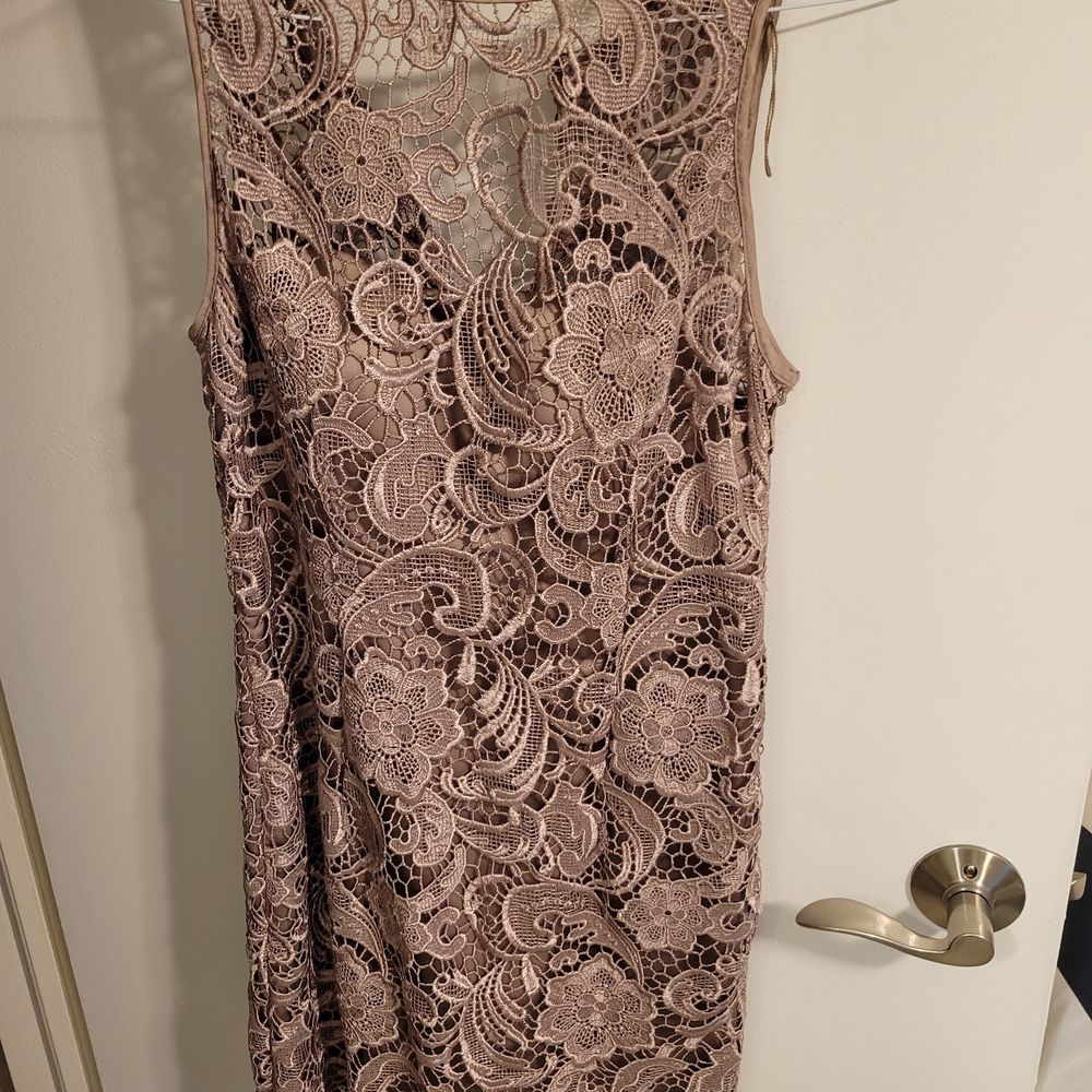 Adrianna Papell Lace Dress in Taupe